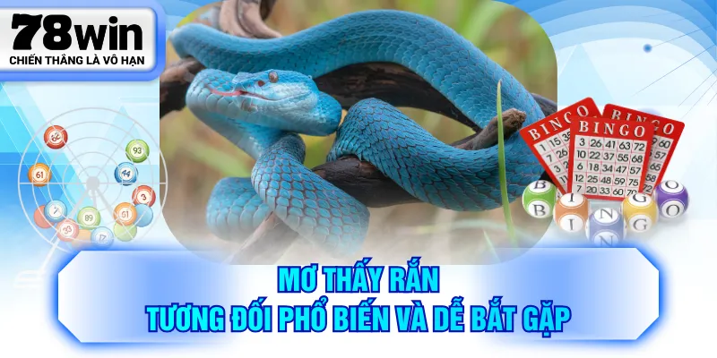 Mơ thấy rắn tương đối phổ biến và dễ bắt gặp